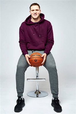 Bojan Bogdanovic Poster 3376791