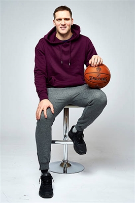 Bojan Bogdanovic Poster 3376800