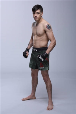 Brandon Moreno Poster 3514344