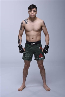 Brandon Moreno Poster 3514368