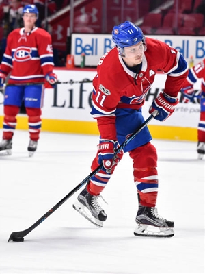 Brendan Gallagher Poster 3566235