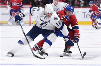 Brendan Gallagher Poster 3566237