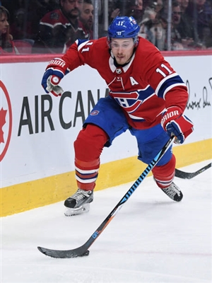 Brendan Gallagher Poster 3566243