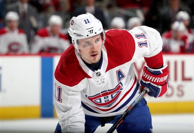 Brendan Gallagher Poster 3566244