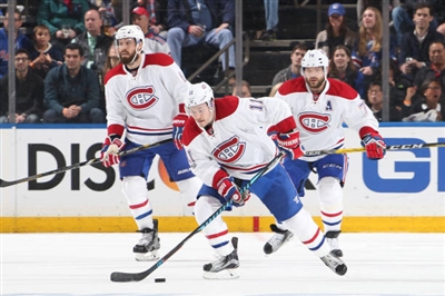 Brendan Gallagher Poster 3566286