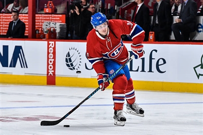 Brendan Gallagher Poster 3566290