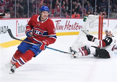 Brendan Gallagher Poster 3566295
