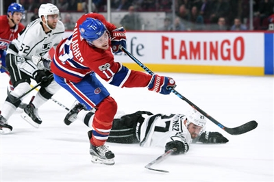Brendan Gallagher Poster 3566297