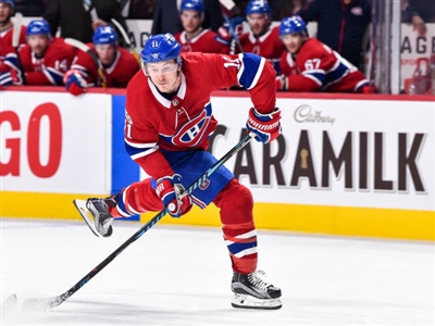 Brendan Gallagher Poster 3566316