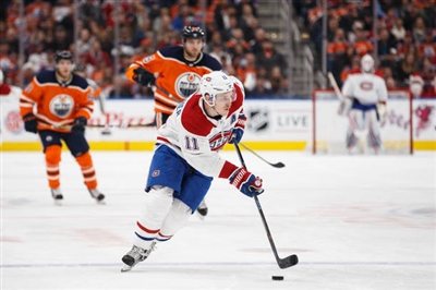 Brendan Gallagher Poster 3566323