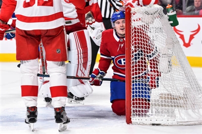 Brendan Gallagher Poster 3566329