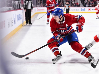 Brendan Gallagher Poster 3566332