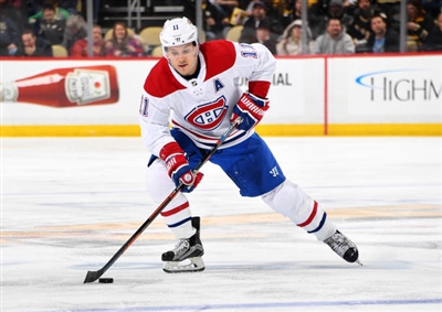 Brendan Gallagher Poster 3566334