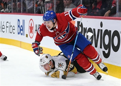 Brendan Gallagher Poster 3566336