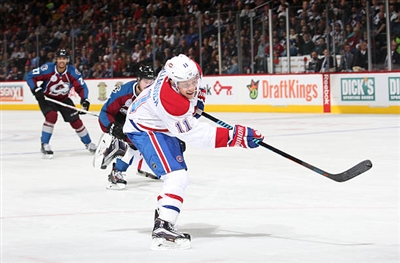 Brendan Gallagher Poster 3566346