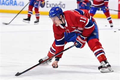 Brendan Gallagher Poster 3566356