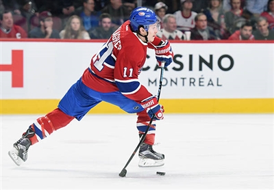 Brendan Gallagher Poster 3566357