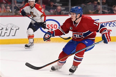 Brendan Gallagher Poster 3566360