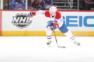 Brendan Gallagher Poster 3566374