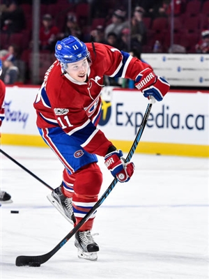 Brendan Gallagher Poster 3566381