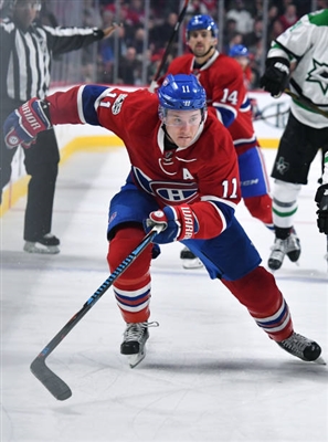 Brendan Gallagher Poster 3566392