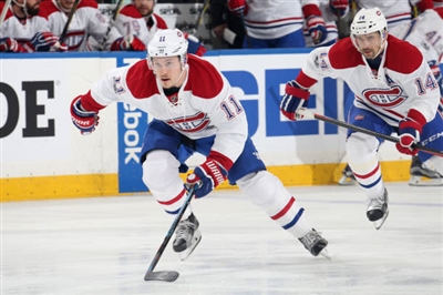 Brendan Gallagher Poster 3566397