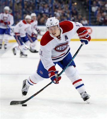 Brendan Gallagher Poster 3566400