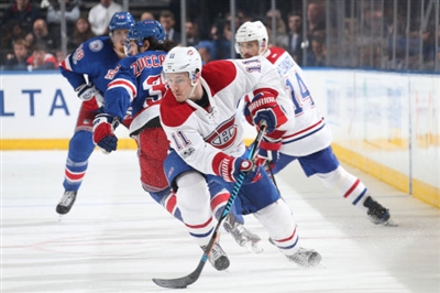 Brendan Gallagher Poster 3566406
