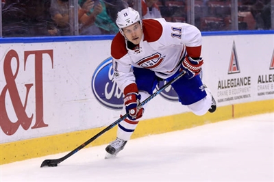 Brendan Gallagher Poster 3566411