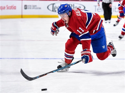 Brendan Gallagher Poster 3566418