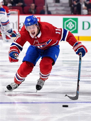 Brendan Gallagher Poster 3566427
