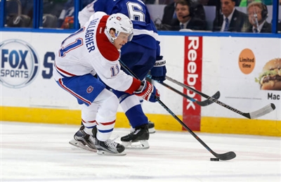 Brendan Gallagher Poster 3566432