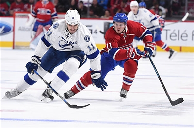 Brendan Gallagher Poster 3566461