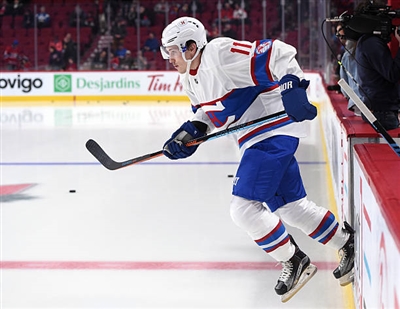 Brendan Gallagher Poster 3566468