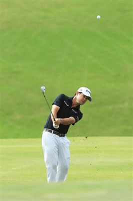 Brian Harman Poster 3490773