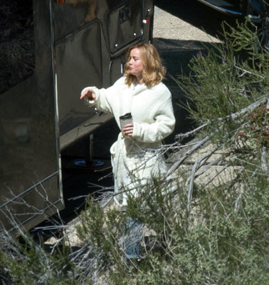 Brie Larson Poster 3238299
