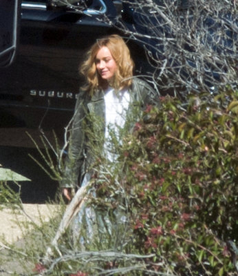 Brie Larson Poster 3238301