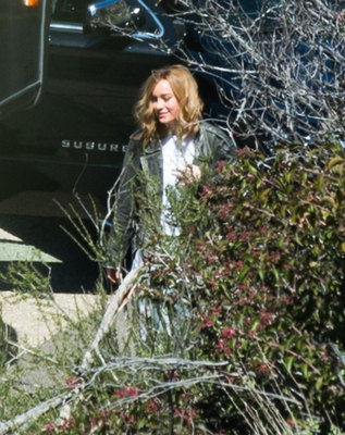 Brie Larson Poster 3238303