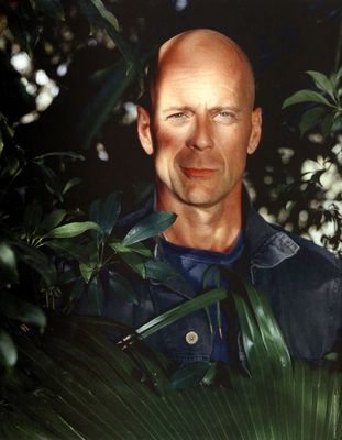 Bruce Willis Poster 2212843