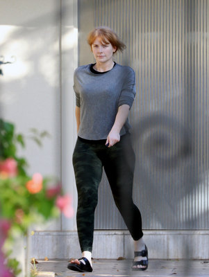 Bryce Dallas Howard Poster 2728486