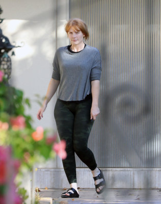 Bryce Dallas Howard Poster 2728494