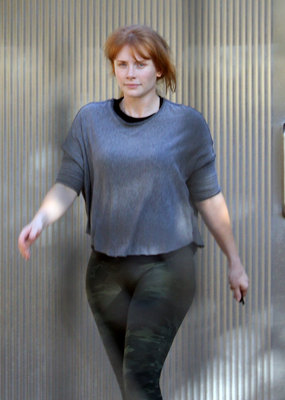 Bryce Dallas Howard Poster 2728525