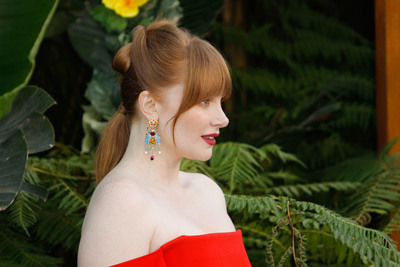 Bryce Dallas Howard Poster 3304721