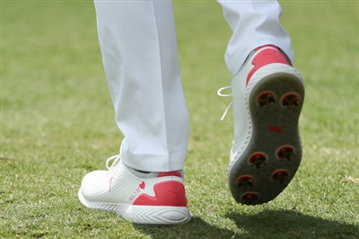 Bryson Dechambeau Poster 3489299