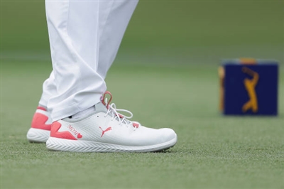 Bryson Dechambeau Poster 3489459