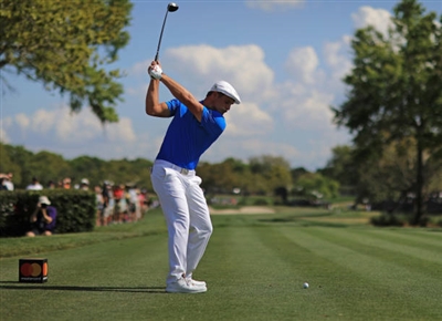 Bryson Dechambeau Poster 3489519