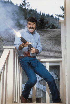 Burt Reynolds Poster 2554085