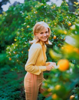 Cameron Diaz Poster 1297211