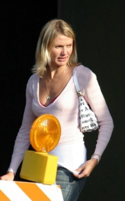 Cameron Diaz Poster 1311462