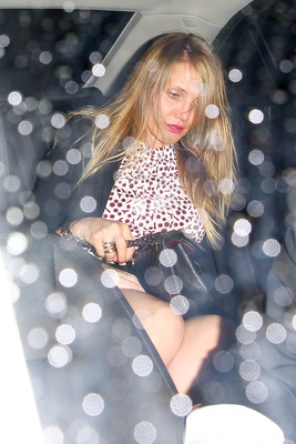 Cameron Diaz Poster 2727323